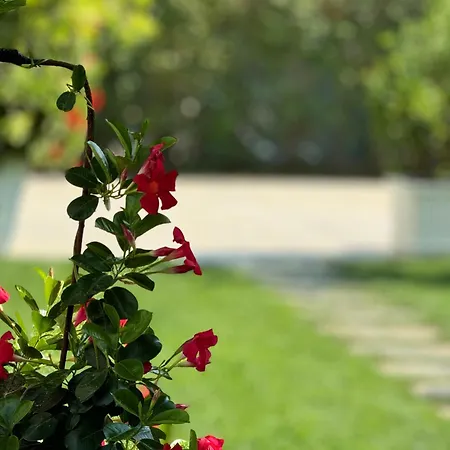 Frühstückspension Solis 3*