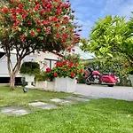 Solis Vlorë